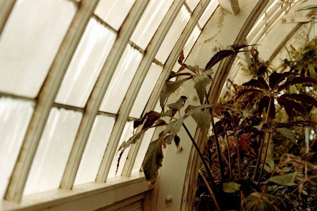 Evergreen Glasshouse Solutions