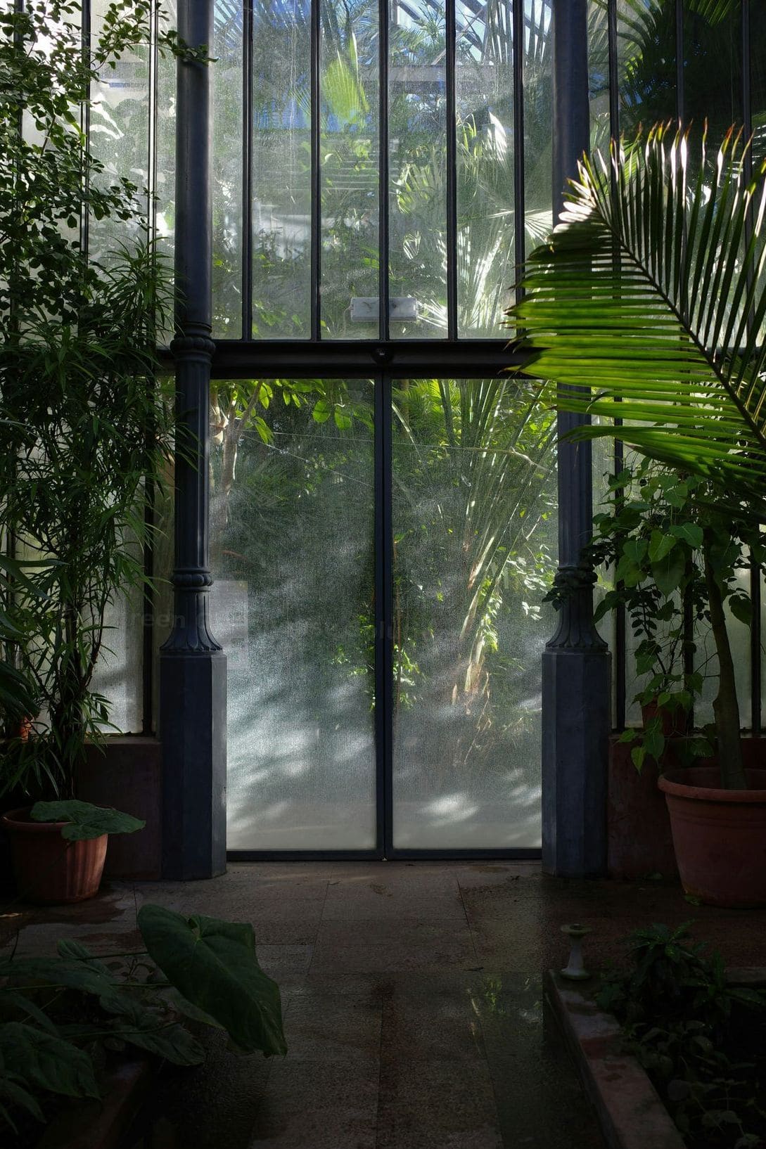 Evergreen Glasshouse Solutions 13